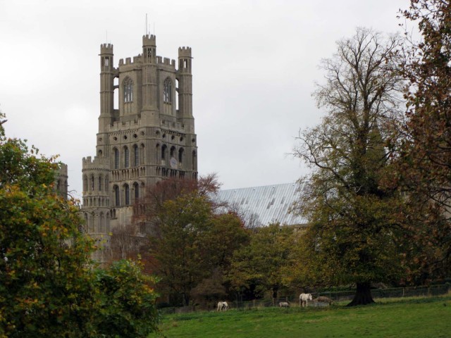 Ely's Cathedral